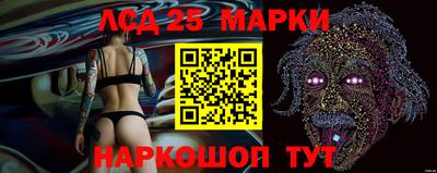 СК Моздок