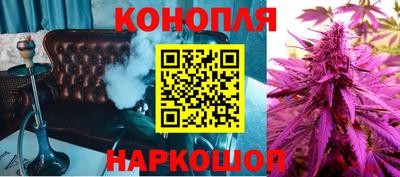 СК Моздок