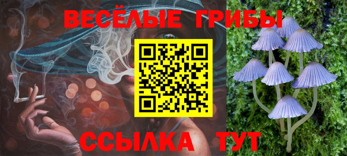 Старая Купавна  Псилоцибиновые грибы Psilocybine cubensis  Вход с VPN 